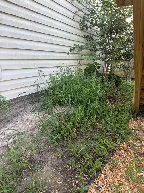 Side yard cleanup area